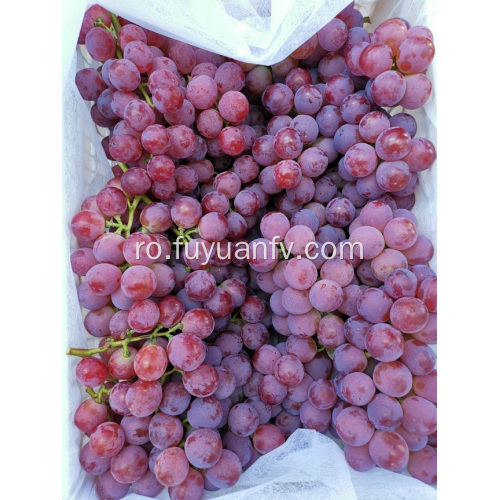 BUNCHUAN GRAPES ÎNCEPE